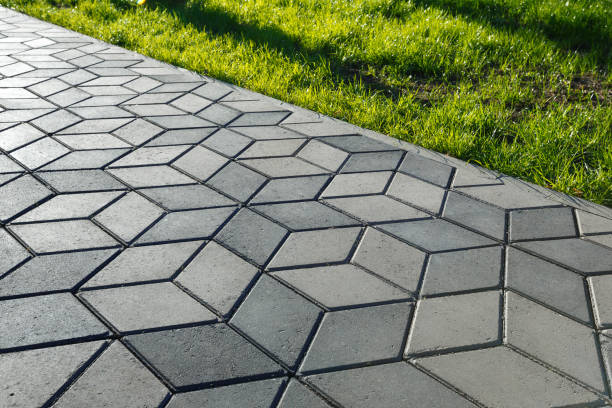 Best Driveway Pavers Near Me  in Randolph, WI