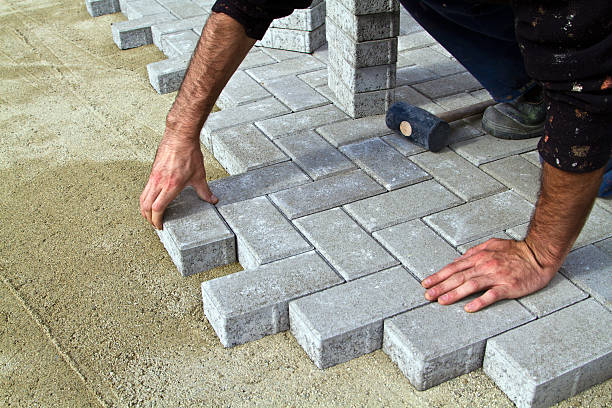 Best Driveway Repair Near Me  in Randolph, WI